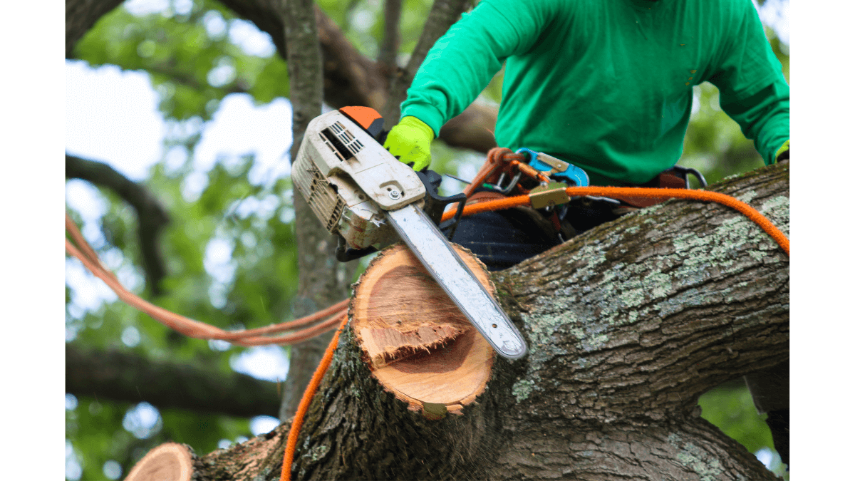 Protecting Your Hearing During DIY Projects